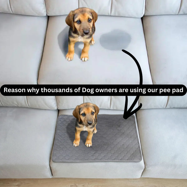 Heavy-Duty Pet Pad Blanket