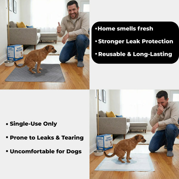 Heavy-Duty Pet Pad Blanket